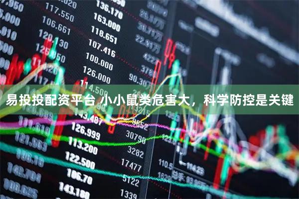 易投投配资平台 小小鼠类危害大，科学防控是关键